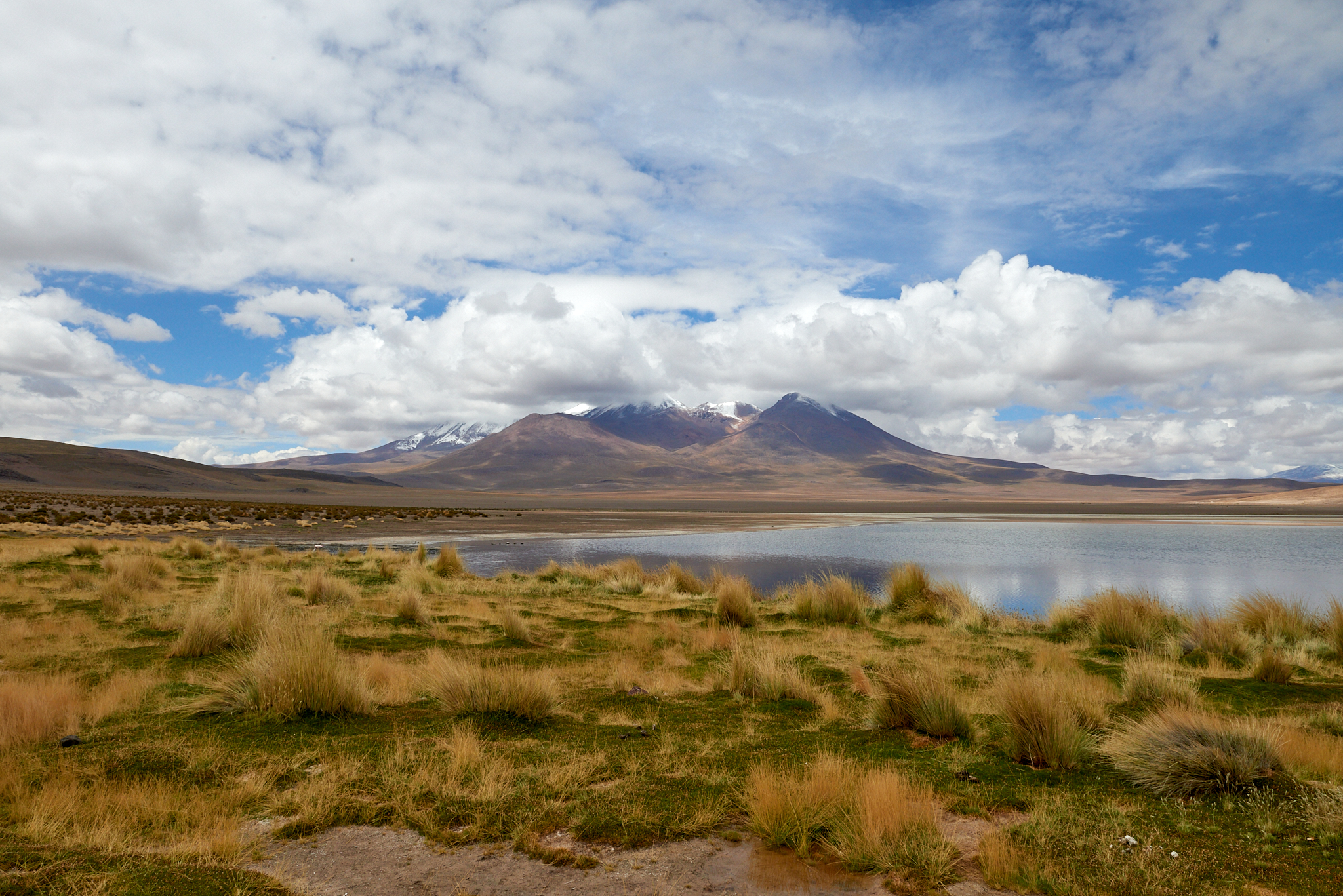 20200313 455 [볼리비아] 카냐파 호수